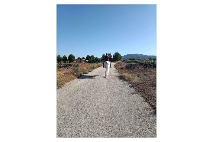 Image No.14-Maison de campagne de 3 chambres à vendre à Monóvar
