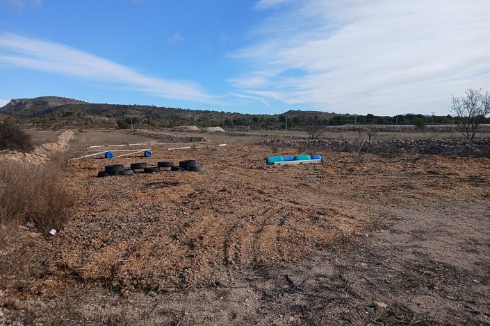 Image No.22-Maison de campagne de 3 chambres à vendre à Monóvar