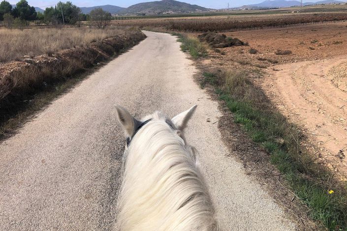Image No.23-Maison de campagne de 3 chambres à vendre à Monóvar