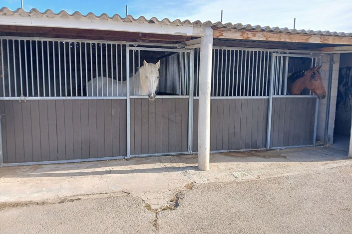 Image No.4-3 Bed Country House for sale