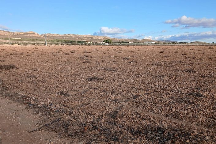 Image No.4-Land for sale