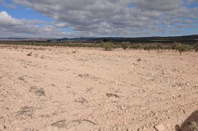 wuoht45a8nyoj60wwraxf