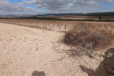 wwtcjghc567uw2qj7jmn2