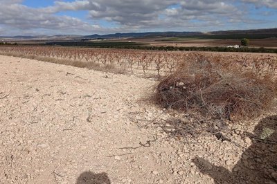 wwtcjghc567uw2qj7jmn2