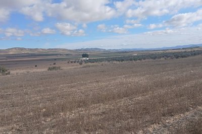 wpo8ip605ts8mzyqbxjwf