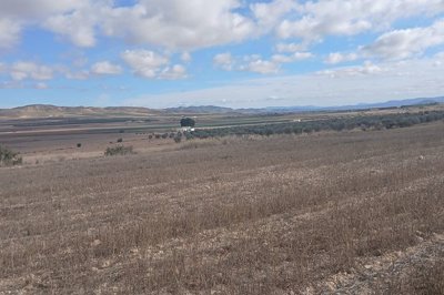 wpo8ip605ts8mzyqbxjwf