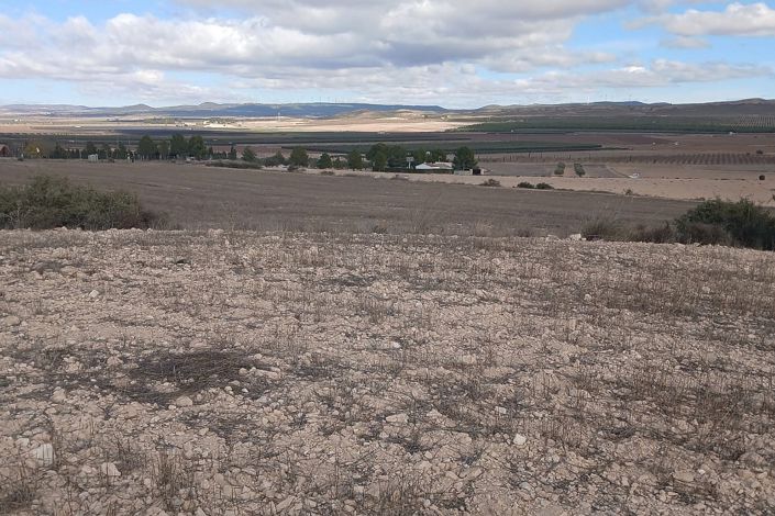 Image No.14-Terre à vendre à Yecla