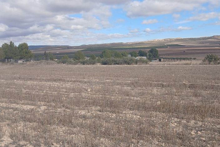 Image No.15-Terre à vendre à Yecla