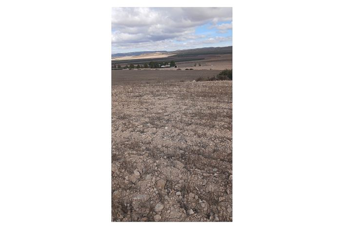 Image No.18-Terre à vendre à Yecla
