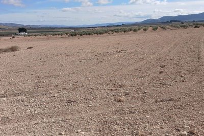 Alicante Dream Homes most sold property