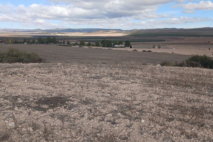 Image No.3-Terre à vendre à Yecla