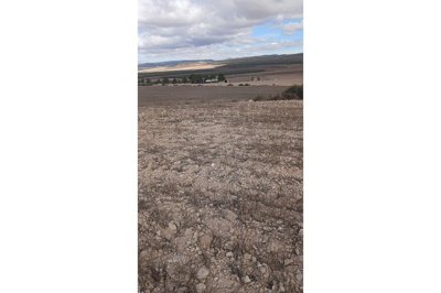 wu70g0go5tdohyovmdcda