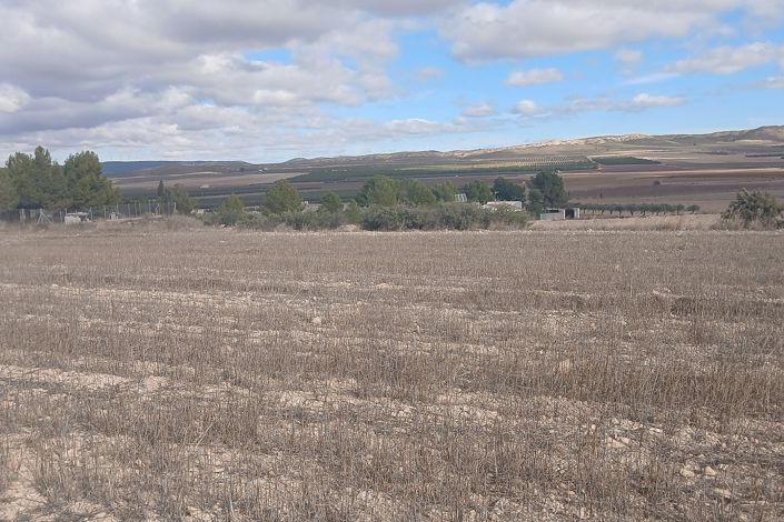 Image No.6-Terre à vendre à Yecla