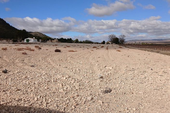 Image No.9-Terre à vendre à Yecla