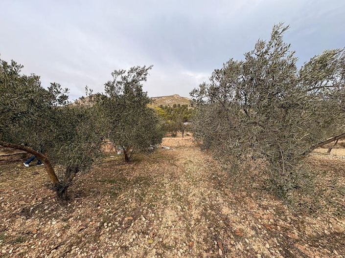 Image No.1-Land for sale