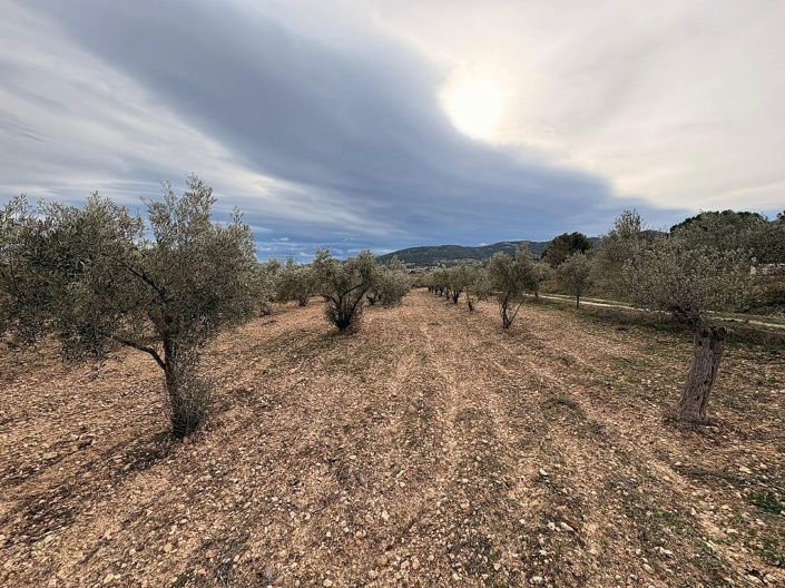 Image No.2-Land for sale