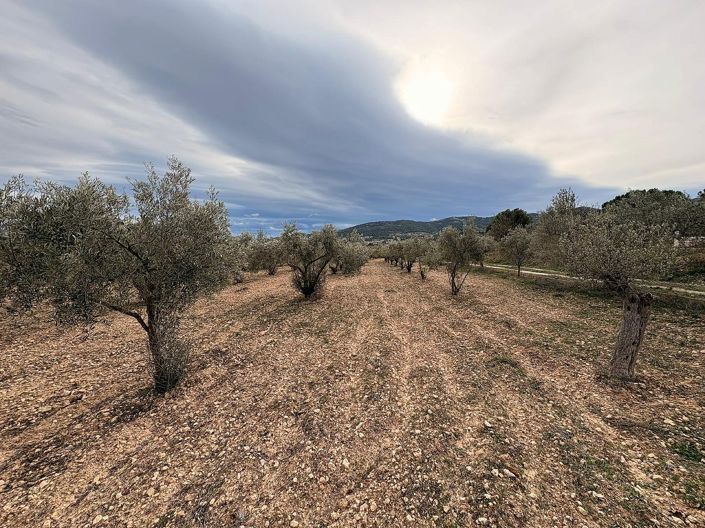 Image No.2-Land for sale