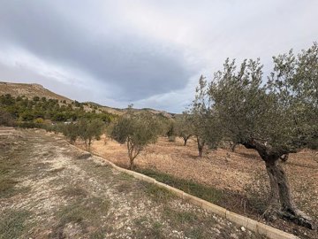 w2oep6db2mzbqyrmpkfur