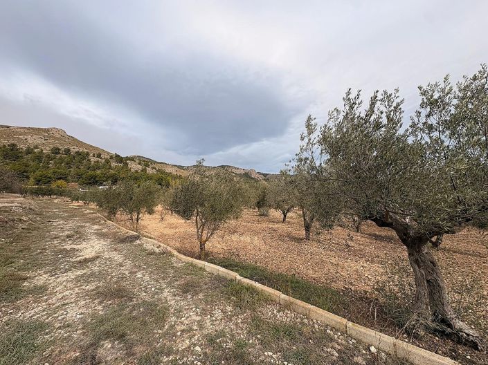 Image No.3-Land for sale