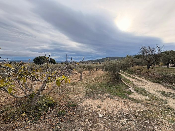 Image No.4-Land for sale