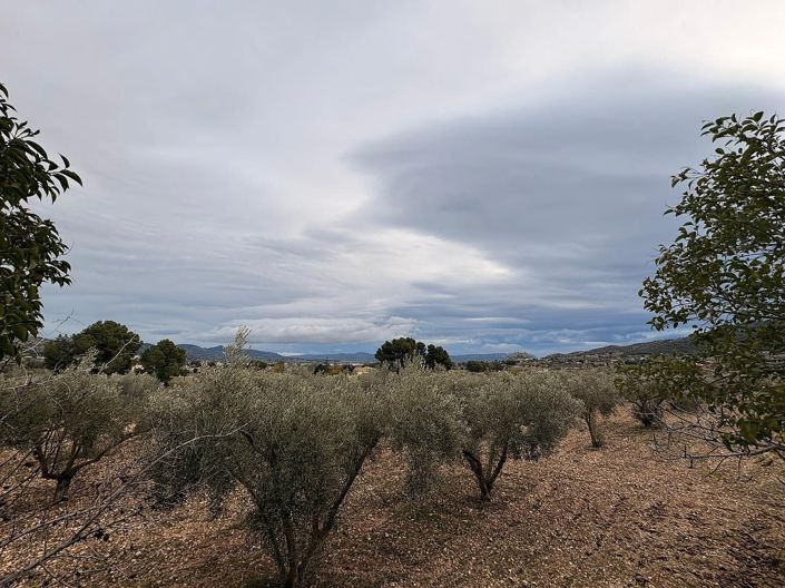 Image No.5-Land for sale