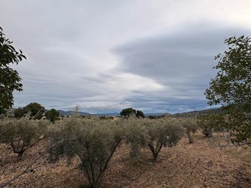 wxb3fxxpehfjwf2ca63yd