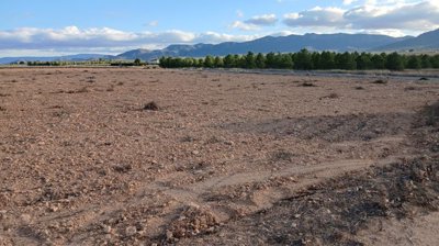 o1jbiqt86f15mvp281ggqn861nn01k