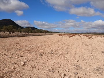 Alicante Dream Homes most sold property