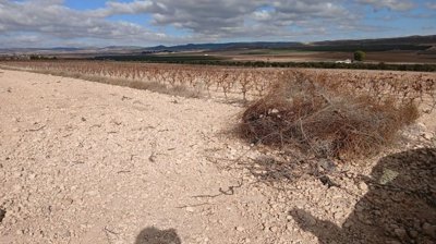 o1jbka5aaji7ljlf1ekk1qtk4ee2f