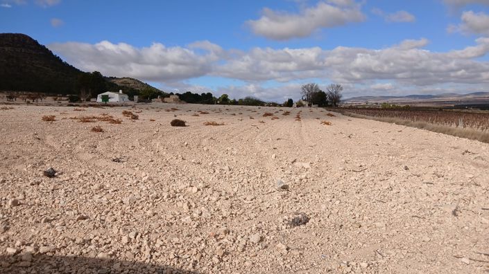 Image No.11-Terre à vendre à Yecla