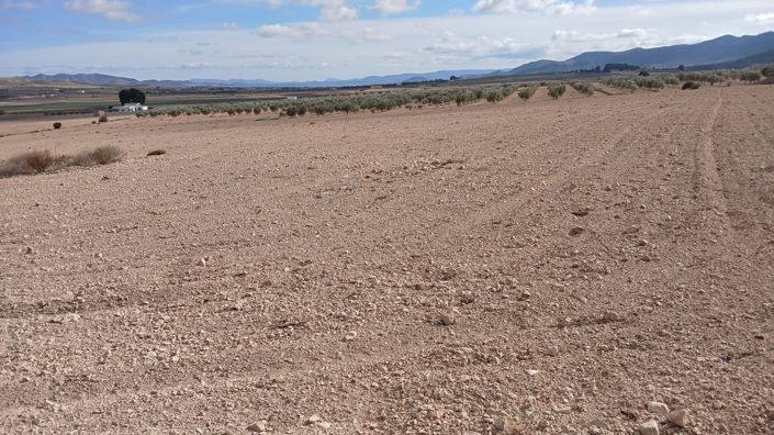 Image No.13-Terre à vendre à Yecla