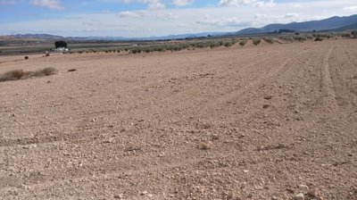 o1jbka5aaje1l1iju10d3rt71vnk2i