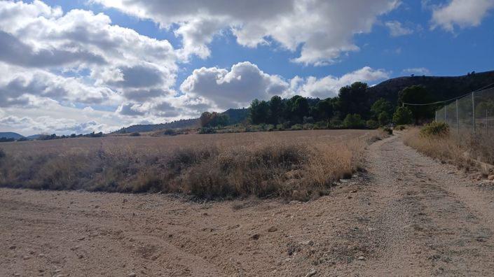 Image No.14-Terre à vendre à Yecla