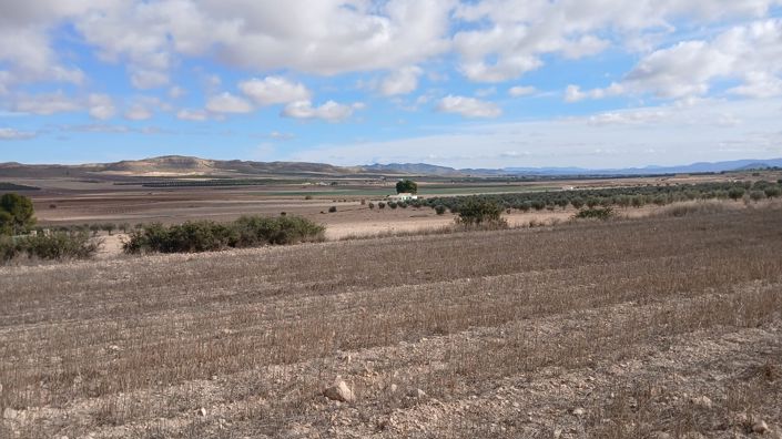 Image No.16-Terre à vendre à Yecla