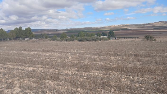 Image No.18-Terre à vendre à Yecla