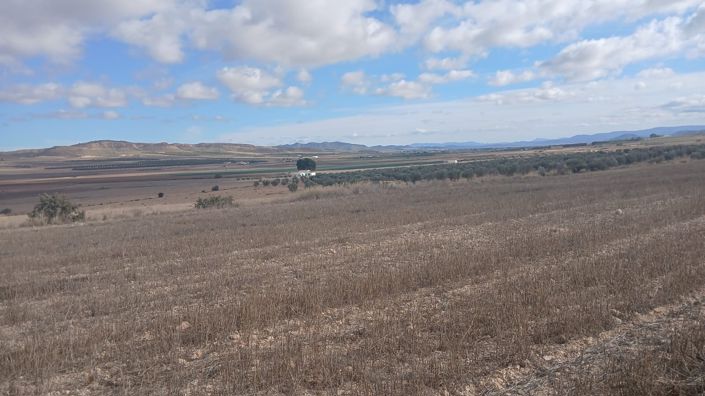 Image No.19-Terre à vendre à Yecla