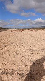 o1jbka5aaj1f11eeh17qh1il3119127