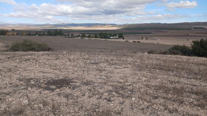 Image No.21-Terre à vendre à Yecla