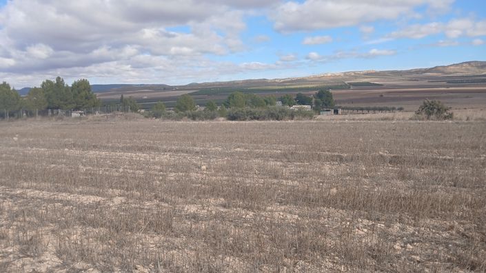 Image No.4-Terre à vendre à Yecla
