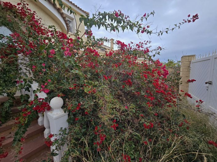 Image No.45-5 Bed Villa for sale