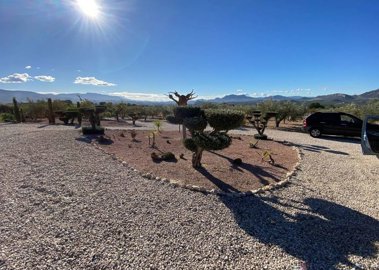 whokj26kpz0du3memh2iz