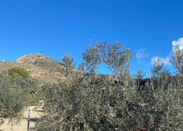 wboy6jvgg3x7j3bicbyfd