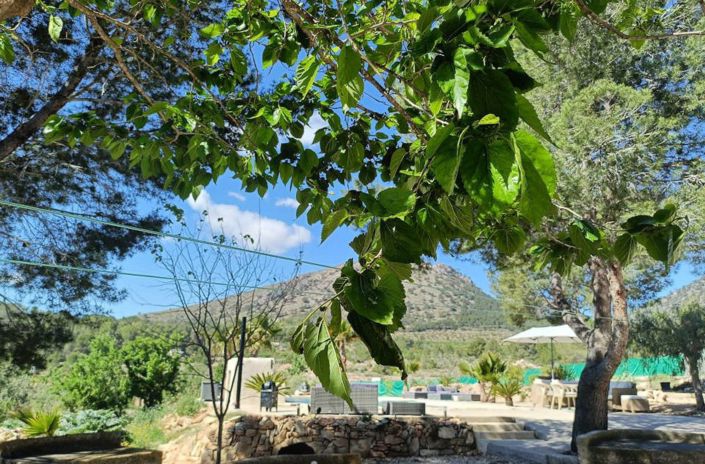 Image No.36-4 Bed Country House for sale