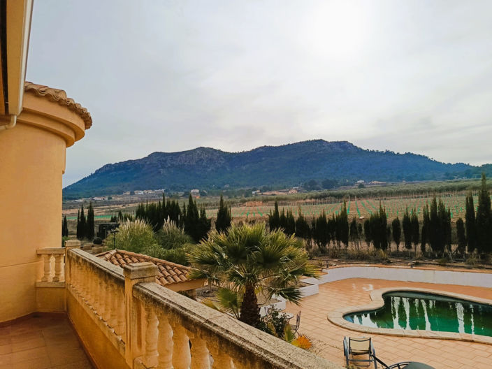 Image No.38-Villa de 5 chambres à vendre à Elda