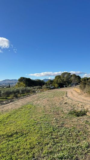 Image No.11-4 Bed Finca for sale