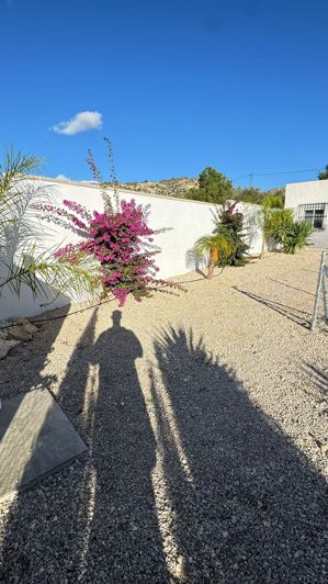 Image No.8-4 Bed Finca for sale