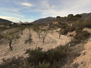 wwhc2pqojwzjms5ichbbz