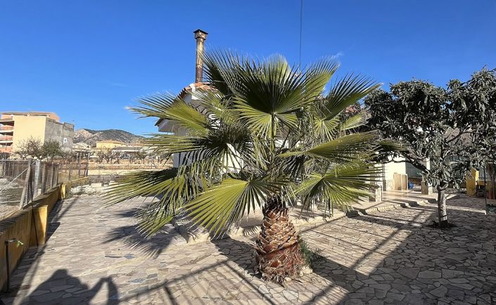 Image No.29-Villa de 3 chambres à vendre à Macisvenda