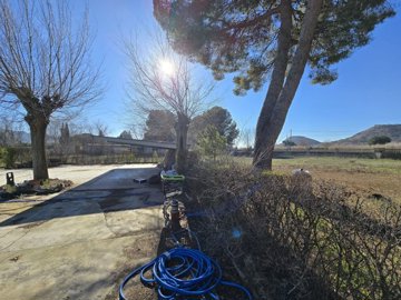 wwhatsapp-image-2026-01-15-at-124713-3-