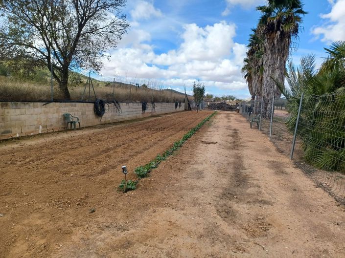 Image No.12-4 Bed Country House for sale